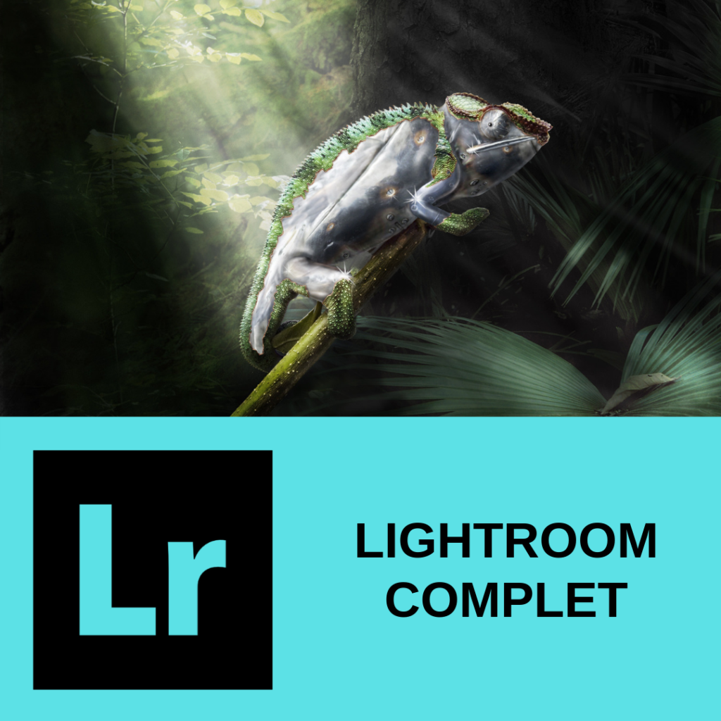 Découvrir la formation lightroom complet sur formation.leszbres nomades