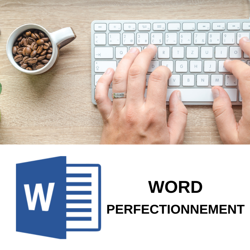 Découvrir la formation wordpress perfectionnement sur formation.leszbres nomades